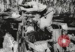 Standbild marines Pazifik, 1944, aus Sekunde 62 historischem Filmmaterial Videoclip 65675061531