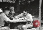 Standbild Allied P-40 Flugzeuge bombardieren Japanisch an Myitkina in Zweiten Weltkrieg Birma, 1944, aus Sekunde 11 historischem Filmmaterial Videoclip 65675061532