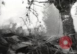 Standbild Allied P-40 Flugzeuge bombardieren Japanisch an Myitkina in Zweiten Weltkrieg Birma, 1944, aus Sekunde 34 historischem Filmmaterial Videoclip 65675061532