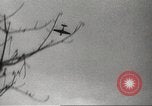 Standbild Allied P-40 Flugzeuge bombardieren Japanisch an Myitkina in Zweiten Weltkrieg Birma, 1944, aus Sekunde 37 historischem Filmmaterial Videoclip 65675061532