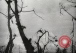 Standbild Allied P-40 Flugzeuge bombardieren Japanisch an Myitkina in Zweiten Weltkrieg Birma, 1944, aus Sekunde 38 historischem Filmmaterial Videoclip 65675061532