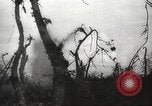 Standbild Allied P-40 Flugzeuge bombardieren Japanisch an Myitkina in Zweiten Weltkrieg Birma, 1944, aus Sekunde 40 historischem Filmmaterial Videoclip 65675061532