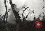 Standbild Allied P-40 Flugzeuge bombardieren Japanisch an Myitkina in Zweiten Weltkrieg Birma, 1944, aus Sekunde 41 historischem Filmmaterial Videoclip 65675061532