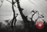 Standbild Allied P-40 Flugzeuge bombardieren Japanisch an Myitkina in Zweiten Weltkrieg Birma, 1944, aus Sekunde 44 historischem Filmmaterial Videoclip 65675061532