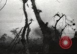 Standbild Allied P-40 Flugzeuge bombardieren Japanisch an Myitkina in Zweiten Weltkrieg Birma, 1944, aus Sekunde 45 historischem Filmmaterial Videoclip 65675061532
