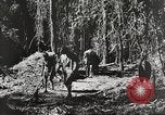 Standbild Vereinigten Staaten Truppen China-Burma-Indien Theater, 1944, aus Sekunde 18 historischem Filmmaterial Videoclip 65675061534