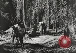 Standbild Vereinigten Staaten Truppen China-Burma-Indien Theater, 1944, aus Sekunde 19 historischem Filmmaterial Videoclip 65675061534