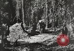 Standbild Vereinigten Staaten Truppen China-Burma-Indien Theater, 1944, aus Sekunde 20 historischem Filmmaterial Videoclip 65675061534