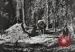Standbild Vereinigten Staaten Truppen China-Burma-Indien Theater, 1944, aus Sekunde 21 historischem Filmmaterial Videoclip 65675061534