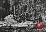 Standbild Vereinigten Staaten Truppen China-Burma-Indien Theater, 1944, aus Sekunde 22 historischem Filmmaterial Videoclip 65675061534