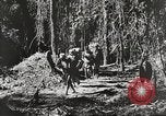 Standbild Vereinigten Staaten Truppen China-Burma-Indien Theater, 1944, aus Sekunde 23 historischem Filmmaterial Videoclip 65675061534
