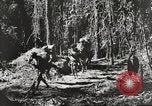Standbild Vereinigten Staaten Truppen China-Burma-Indien Theater, 1944, aus Sekunde 24 historischem Filmmaterial Videoclip 65675061534