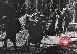 Standbild Vereinigten Staaten Truppen China-Burma-Indien Theater, 1944, aus Sekunde 25 historischem Filmmaterial Videoclip 65675061534