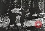 Standbild Vereinigten Staaten Truppen China-Burma-Indien Theater, 1944, aus Sekunde 30 historischem Filmmaterial Videoclip 65675061534