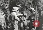 Standbild Vereinigten Staaten Truppen China-Burma-Indien Theater, 1944, aus Sekunde 41 historischem Filmmaterial Videoclip 65675061534