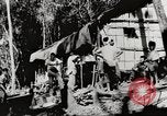 Standbild Vereinigten Staaten Truppen China-Burma-Indien Theater, 1944, aus Sekunde 48 historischem Filmmaterial Videoclip 65675061534