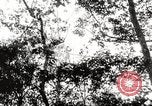 Image of United States troops China-Burma-India Theater, 1944, second 3 stock footage video 65675061535