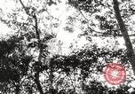 Image of United States troops China-Burma-India Theater, 1944, second 5 stock footage video 65675061535