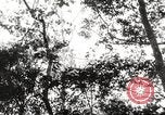 Image of United States troops China-Burma-India Theater, 1944, second 6 stock footage video 65675061535
