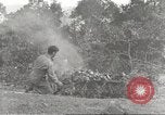Image of United States troops China-Burma-India Theater, 1944, second 39 stock footage video 65675061535