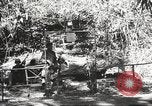 Image of Allied troops Burma, 1944, second 3 stock footage video 65675061536