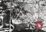 Image of Allied troops Burma, 1944, second 8 stock footage video 65675061536
