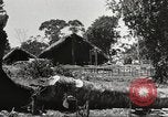 Immagine di Soldati alleati La Birmania, 1944, secondo 1 filmato di repertorio 65675061538