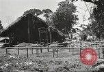 Immagine di Soldati alleati La Birmania, 1944, secondo 8 filmato di repertorio 65675061538