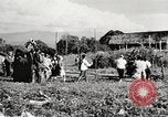 Image of Frank Merrill Myitkyina Burma, 1944, second 21 stock footage video 65675061540