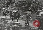Image of Merrill's Marauders Myitkyina Burma, 1944, second 3 stock footage video 65675061542