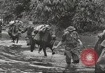 Image of Merrill's Marauders Myitkyina Burma, 1944, second 4 stock footage video 65675061542