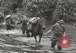 Image of Merrill's Marauders Myitkyina Burma, 1944, second 5 stock footage video 65675061542