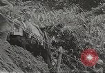Image of Merrill's Marauders Myitkyina Burma, 1944, second 15 stock footage video 65675061542