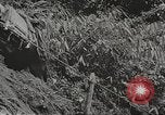 Image of Merrill's Marauders Myitkyina Burma, 1944, second 16 stock footage video 65675061542
