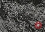 Image of Merrill's Marauders Myitkyina Burma, 1944, second 17 stock footage video 65675061542