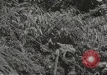 Image of Merrill's Marauders Myitkyina Burma, 1944, second 18 stock footage video 65675061542