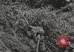 Image of Merrill's Marauders Myitkyina Burma, 1944, second 19 stock footage video 65675061542