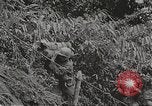 Image of Merrill's Marauders Myitkyina Burma, 1944, second 20 stock footage video 65675061542