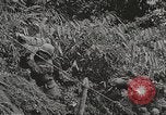 Image of Merrill's Marauders Myitkyina Burma, 1944, second 21 stock footage video 65675061542