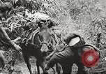 Image of Merrill's Marauders Myitkyina Burma, 1944, second 52 stock footage video 65675061542