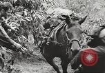 Image of Merrill's Marauders Myitkyina Burma, 1944, second 53 stock footage video 65675061542