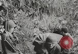 Image of Merrill's Marauders Myitkyina Burma, 1944, second 58 stock footage video 65675061542