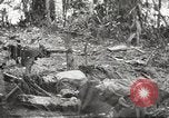 Image of Merrill's Marauders Myitkyina Burma, 1944, second 60 stock footage video 65675061542