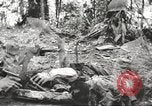 Image of Merrill's Marauders Myitkyina Burma, 1944, second 62 stock footage video 65675061542