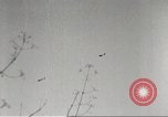 Image of Merrill's Marauders Myitkyina Burma, 1944, second 23 stock footage video 65675061543