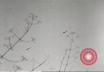 Image of Merrill's Marauders Myitkyina Burma, 1944, second 24 stock footage video 65675061543