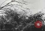 Image of Merrill's Marauders Myitkyina Burma, 1944, second 30 stock footage video 65675061543