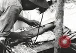 Image of Merrill's Marauders Myitkyina Burma, 1944, second 46 stock footage video 65675061544