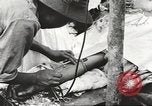 Image of Merrill's Marauders Myitkyina Burma, 1944, second 47 stock footage video 65675061544