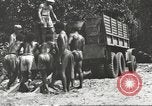 Image of United States soldiers New Guinea, 1943, second 26 stock footage video 65675061549